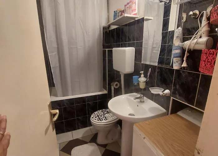 Apartment Mate *